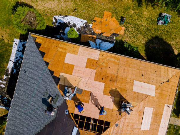 Best Residential Roofing Contractor  in Inglis, FL
