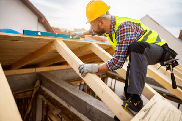 Roof Gutter Cleaning in Inglis, FL