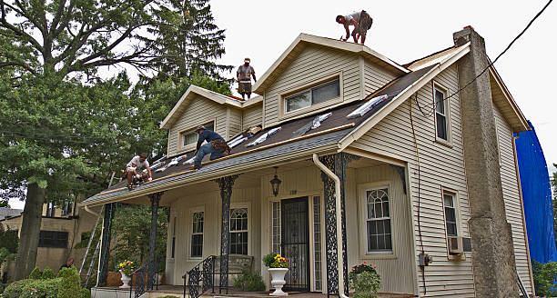 Best Shingle Roofing Installation  in Inglis, FL